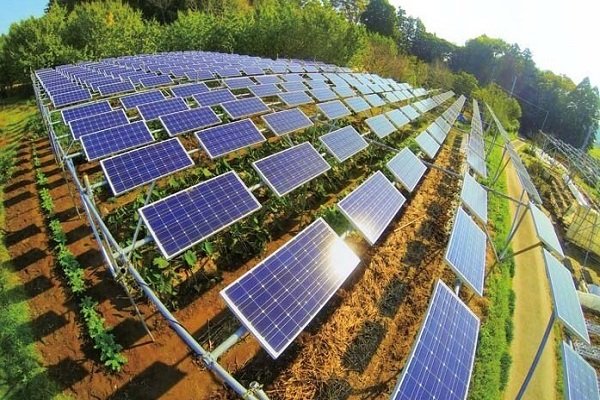 Irrigação com energia solar fotovoltaica vai revolucionar a agricultura! - Desconto na conta da Cemig!